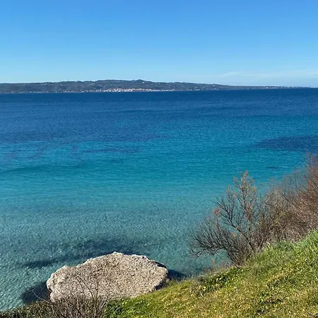 I Fenicotteri - Vicino Al Mare *