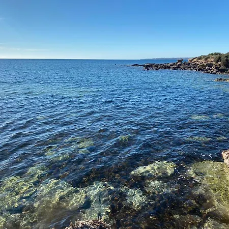 I Fenicotteri - Vicino Al Mare *