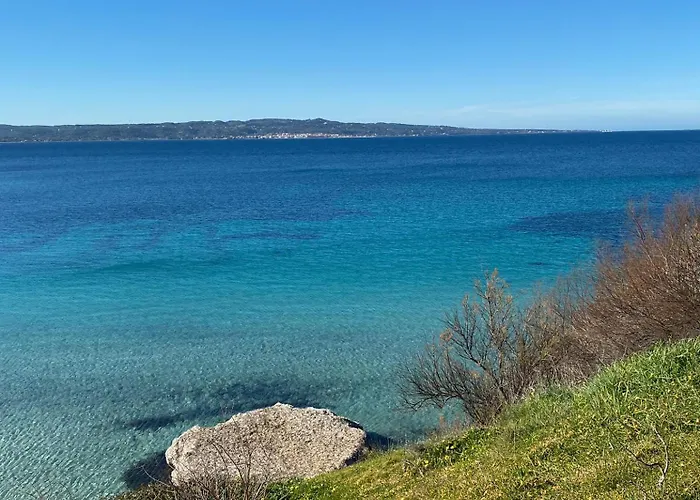 I Fenicotteri - Vicino Al Mare *