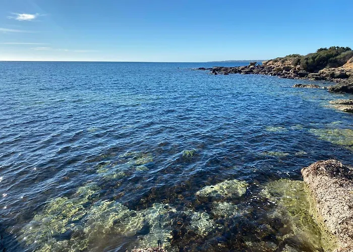I Fenicotteri - Vicino Al Mare *